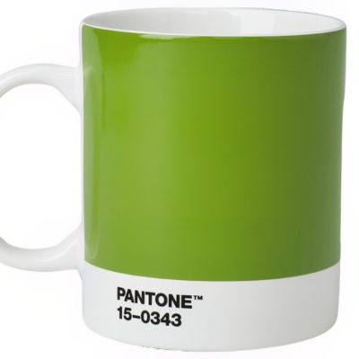 Zelený porcelánový hrnek Pantone Green 15-0343 375 ml