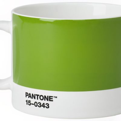 Zelený porcelánový hrnek Pantone Green 15-0343 475 ml